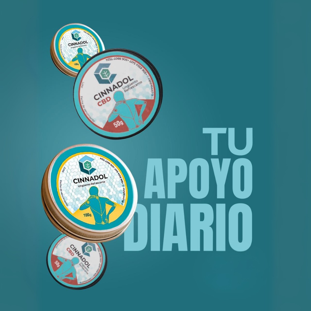 Inicio 2